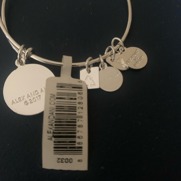 Alex and Ani NEW with tags silver bracelet - Picture 5 of 7